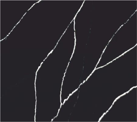 CALACATTA MARQUINA SIENNA